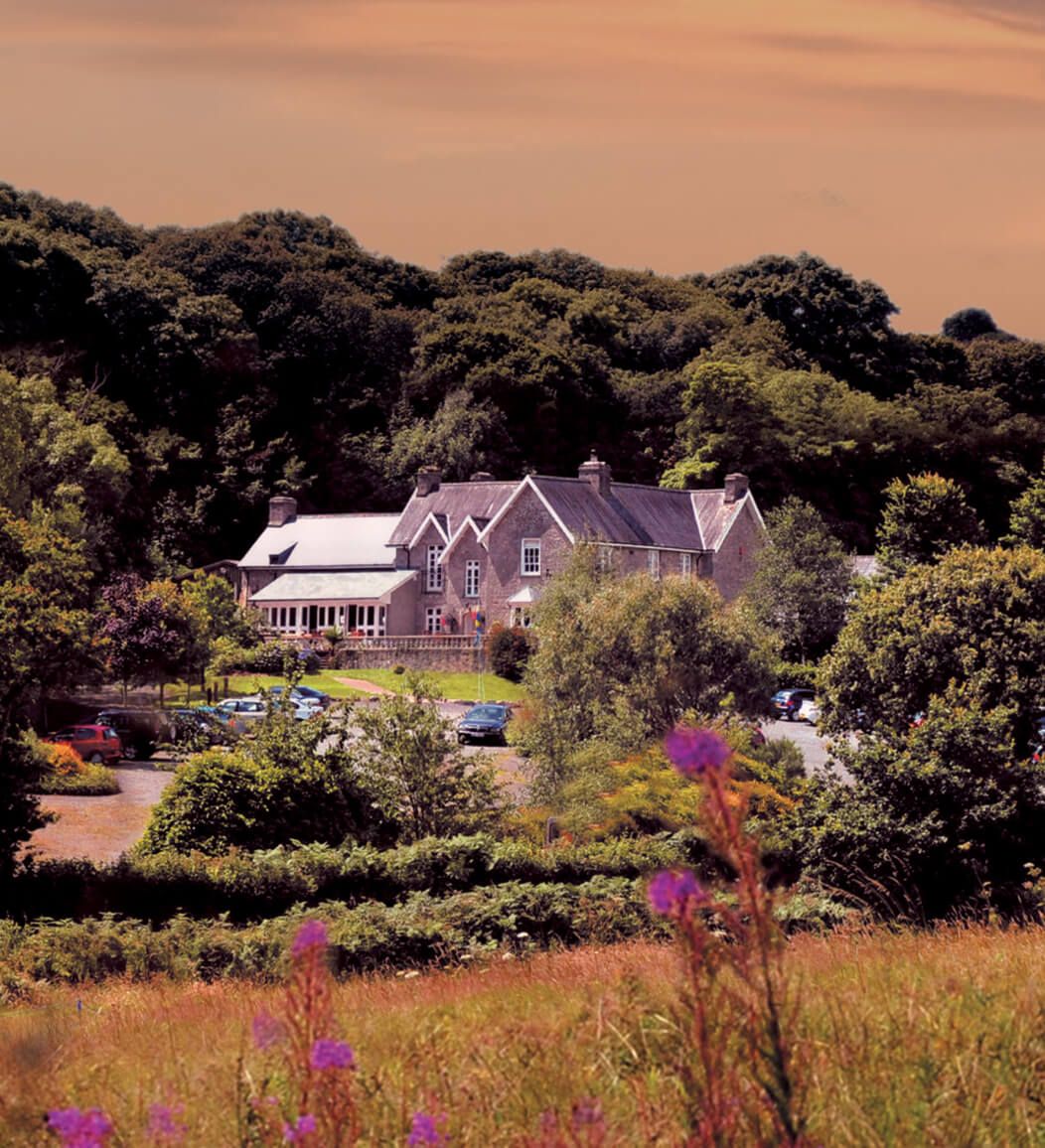 Newsletter Popup.jpg